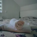 Apartamento Tasnim Dobrenica