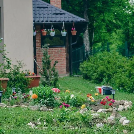 Daire Tasnim Dobrenica