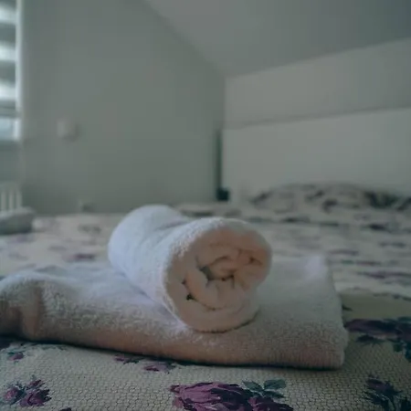 Daire Tasnim Dobrenica